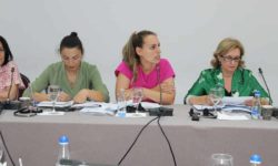 Presentation-of-the-draft-roadmap-on-how-to-establish-a-system-of-performance-based-funding-for-the-HEIs,-based-on-Austrian-experiences-6